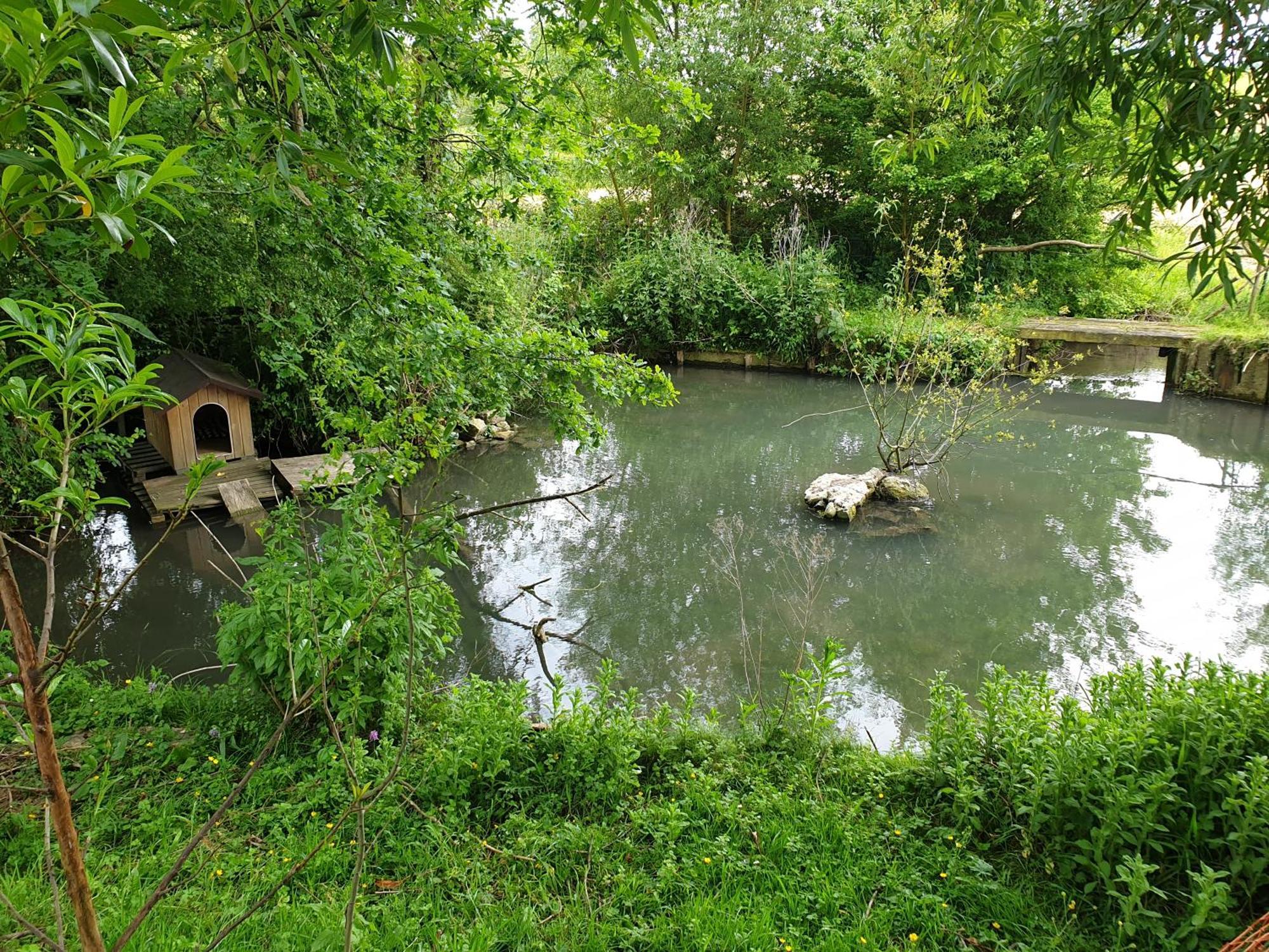Moulin De La Bretonniere - Omaha Beach Aignerville Esterno foto